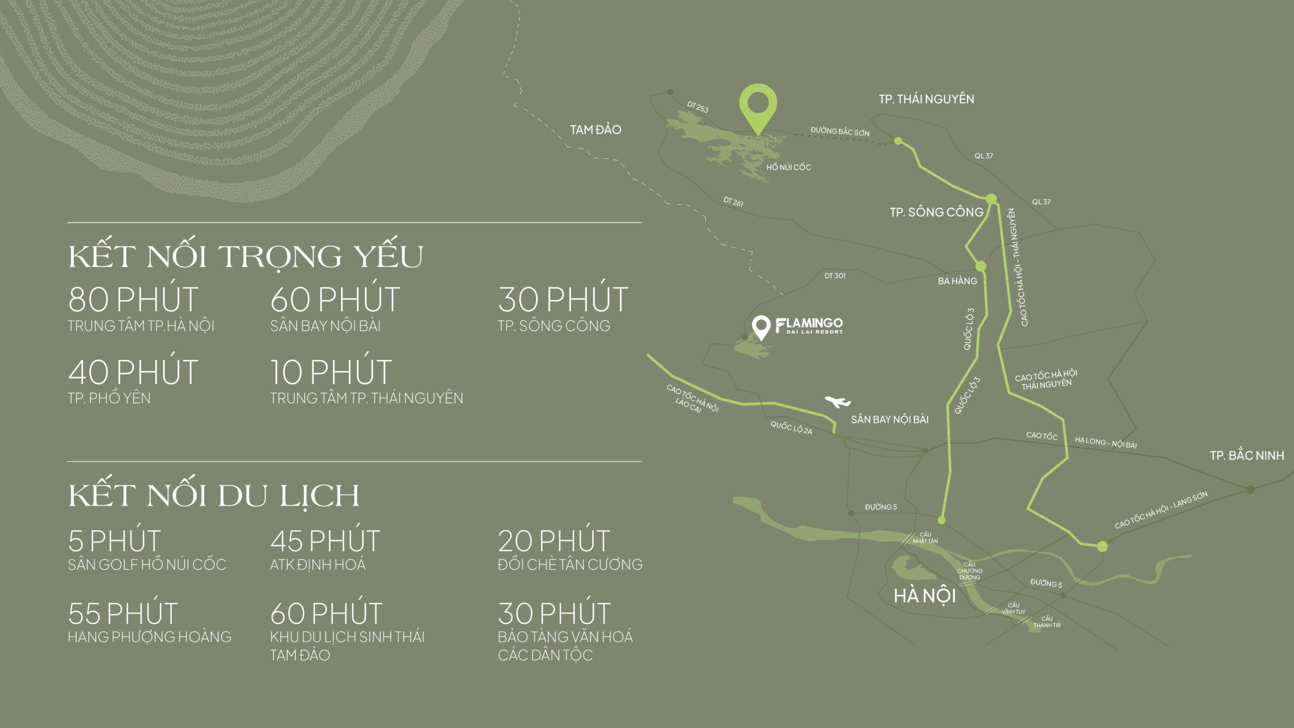 flamingo maison 108 ho nui coc