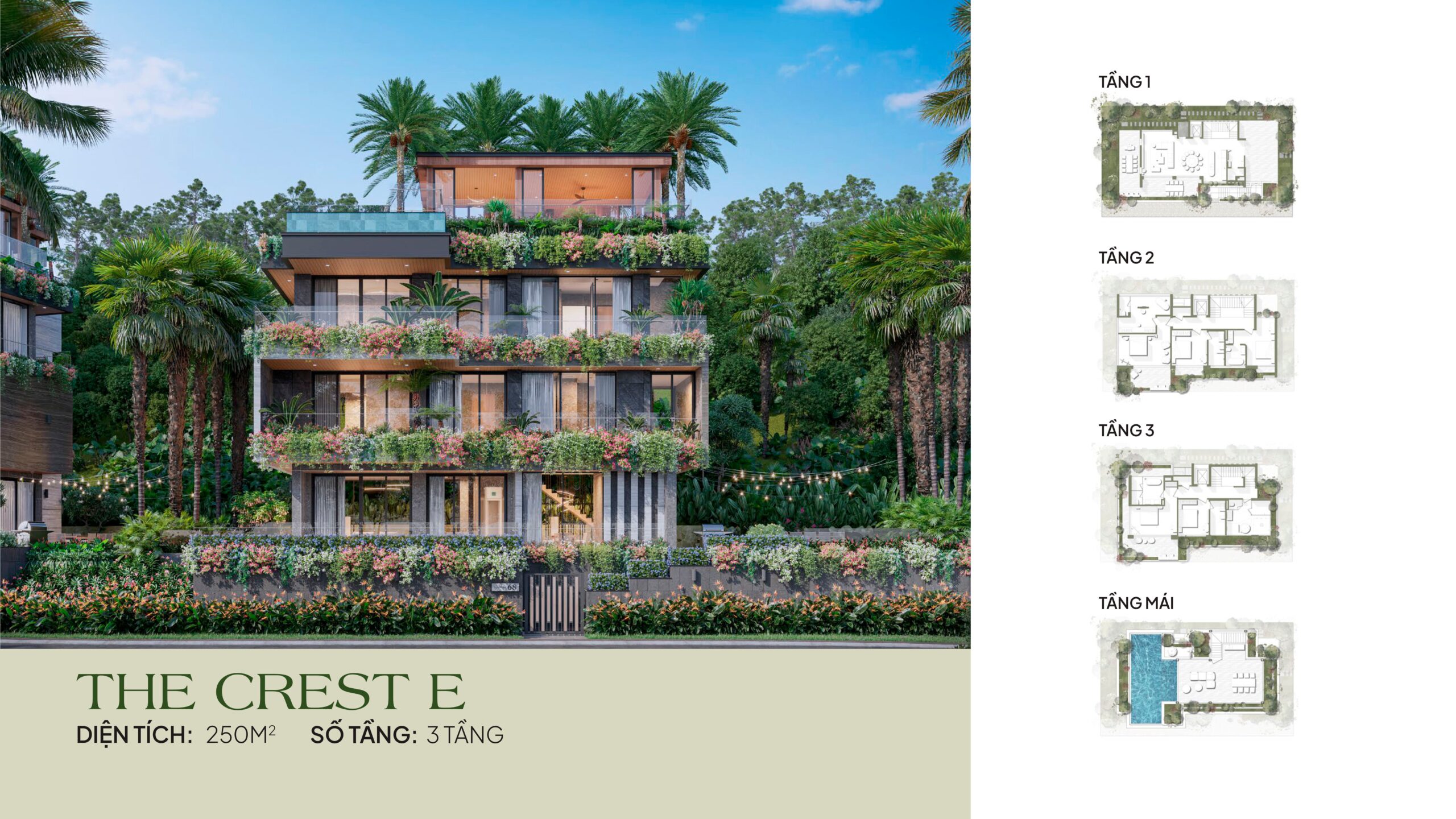 flamingo maison 108 ho nui coc