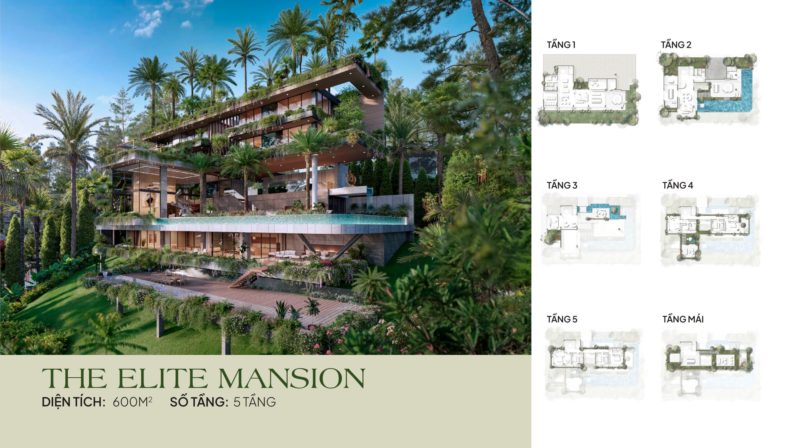 flamingo maison 108 ho nui coc